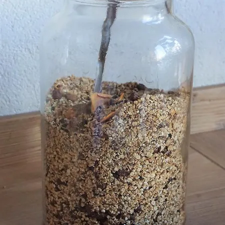 Sunrise Ξενοδοχείο με διαμερίσματα Ramsau am Dachstein