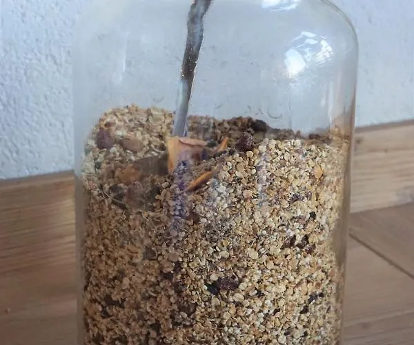 Sunrise 아파트호텔 람자우 암 다흐스타인