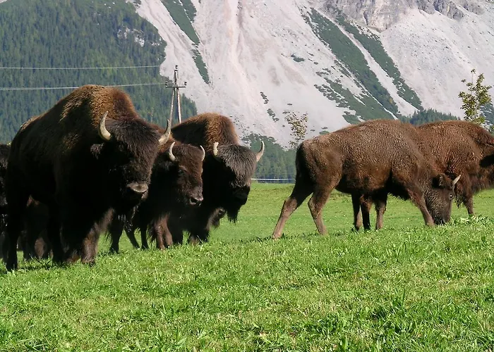 صن رايز للشقق الفندقية