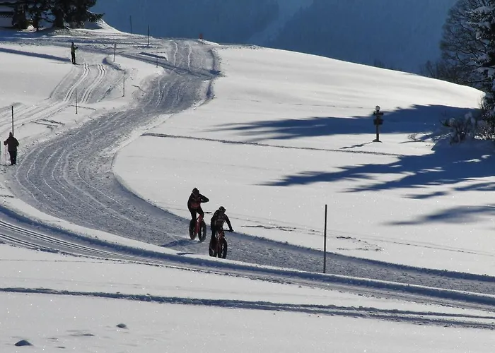 아파트호텔 Sunrise 람자우 암 다흐스타인
