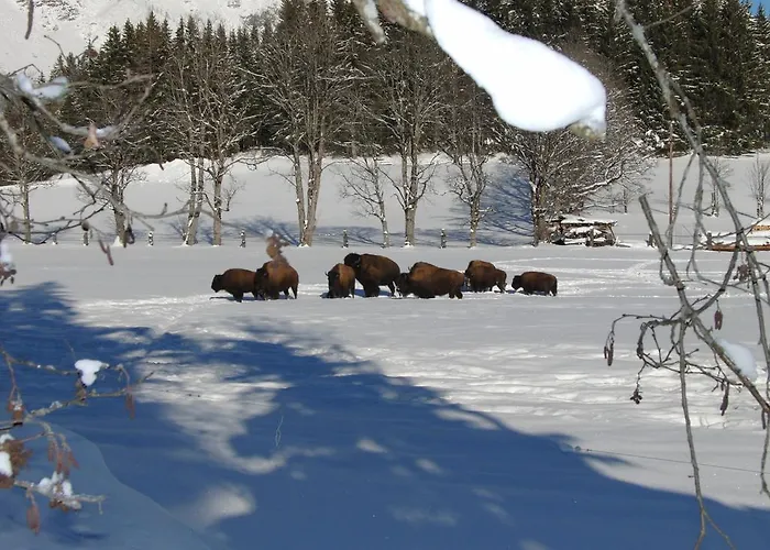 Sunrise 아파트호텔 4*